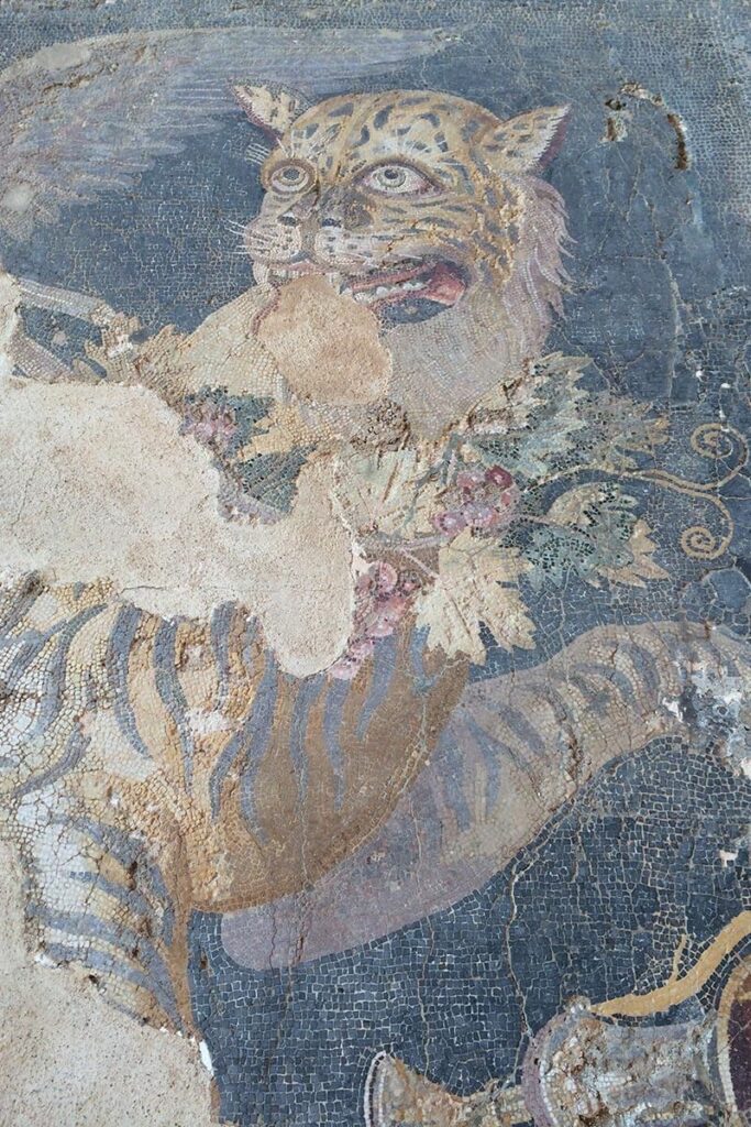 delos-island-mosaic-800×1200