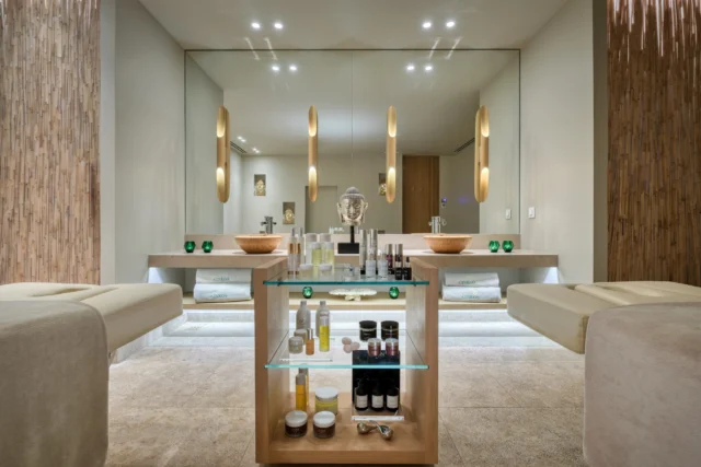 It's the perfect time to nourish your body and mind. Reconnect with your wellness at Ginkgo Spa.

Book a dream: santa-marina.gr

#SantaMarinaMykonos #TheLuxuryCollection
