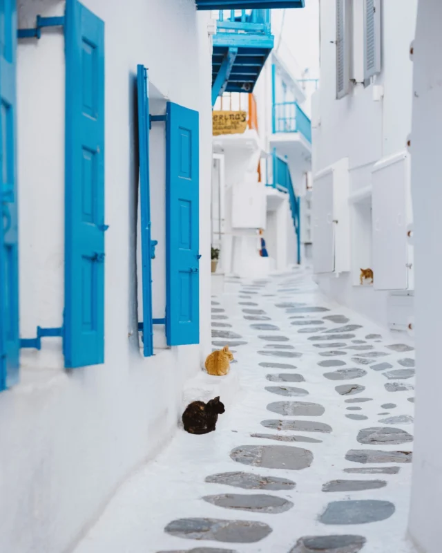 Wander through the charming alleys of Mykonos - every corner holds a new discovery.

Book a dream: santa-marina.gr

#SantaMarinaMykonos #TheLuxuryCollection